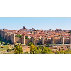 Visita turística a Ávila con guía oficial