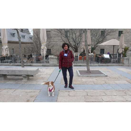Visita "dog friendly" a San Lorenzo de El Escorial