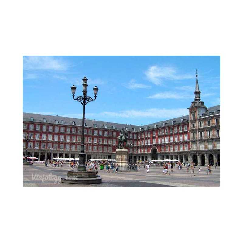 Private tours for groups and companies