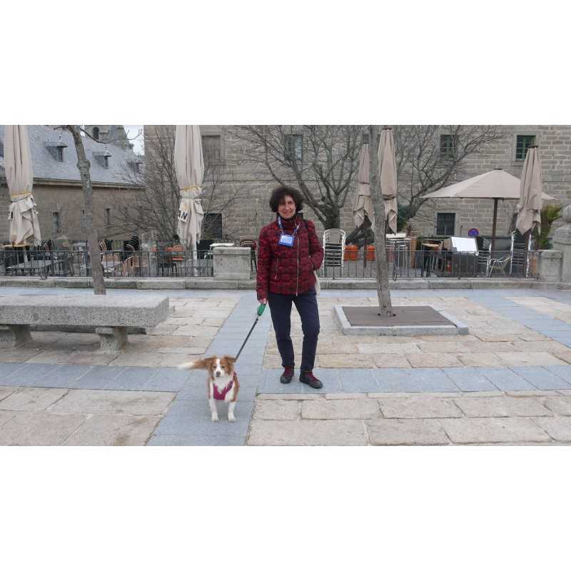 "Dog friendly" tour to San Lorenzo de El Escorial
